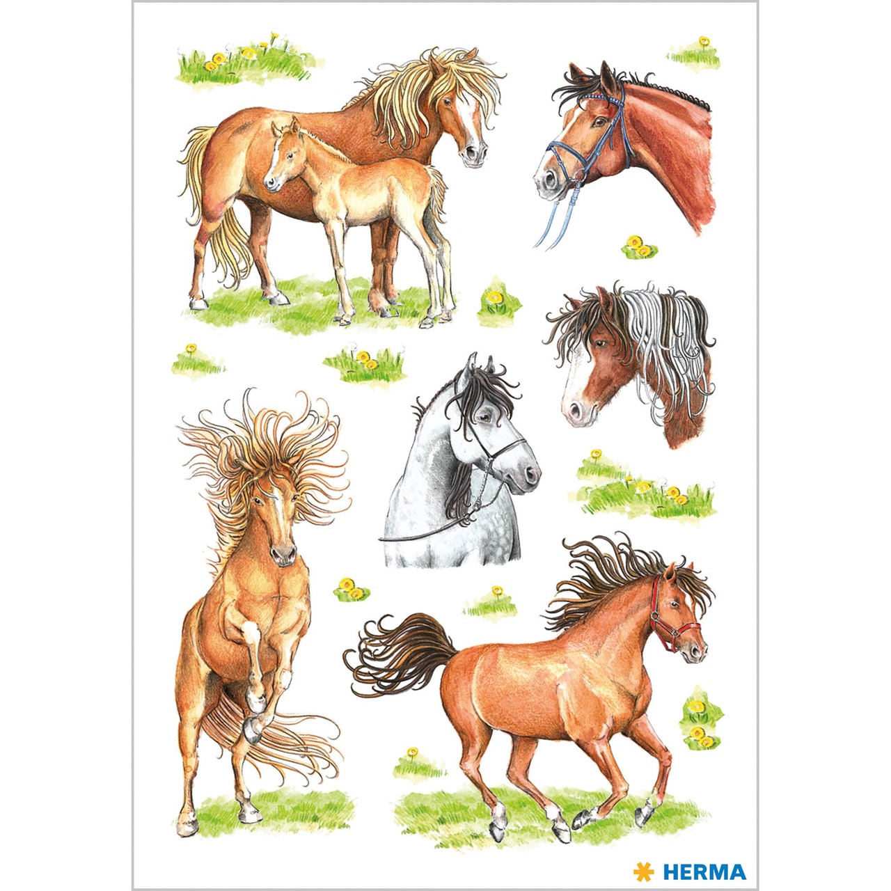 Bild von HERMA Sticker Gezeichnete Pferde