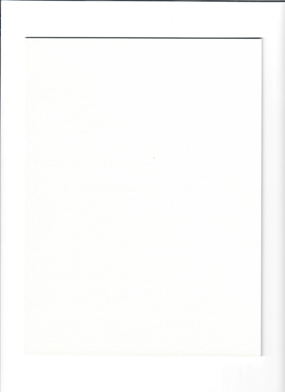 Bild von Rückwand Passepartoutkarton altweiß 40 x 50 cm