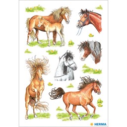 Bild von HERMA Sticker Gezeichnete Pferde