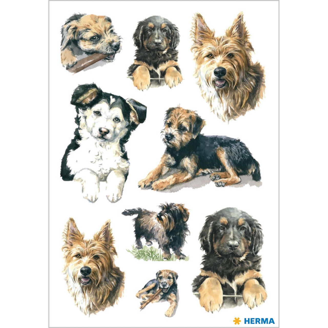 Bild von HERMA Sticker Hunde