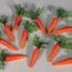 Bild von Karotte mit grünem Kraut
