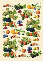 Bild von Decoupage-Papier "Fruits"