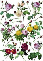 Bild von Decoupage-Papier "Roses"
