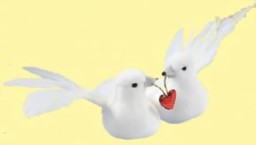 Bild von CREApop Taubenpaar mit Herz